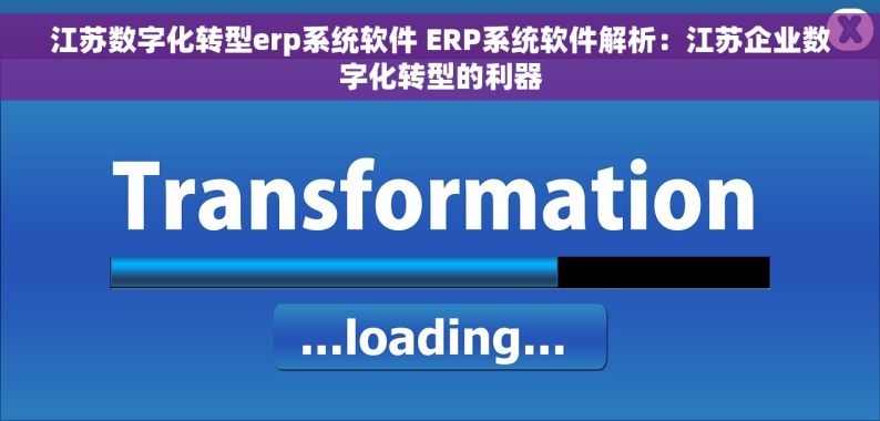 江苏数字化转型erp系统软件 ERP系统软件解析：江苏企业数字化转型的利器