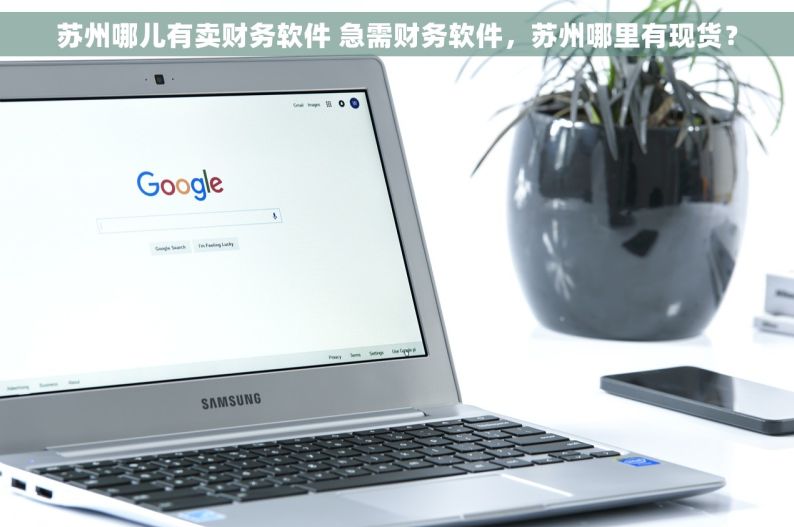 苏州哪儿有卖财务软件 急需财务软件，苏州哪里有现货？