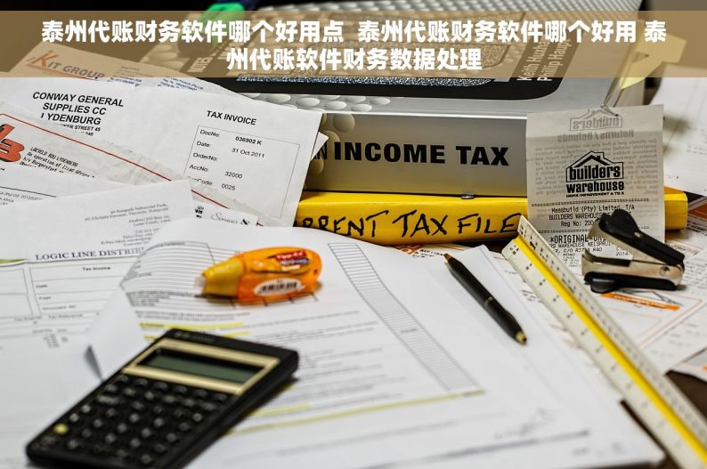 泰州代账财务软件哪个好用点  泰州代账财务软件哪个好用 泰州代账软件财务数据处理