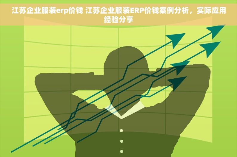 江苏企业服装erp价钱 江苏企业服装ERP价钱案例分析，实际应用经验分享