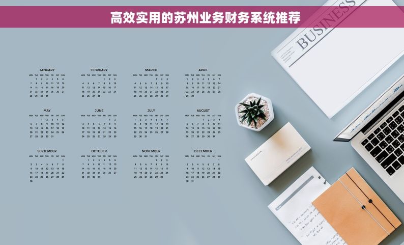   高效实用的苏州业务财务系统推荐