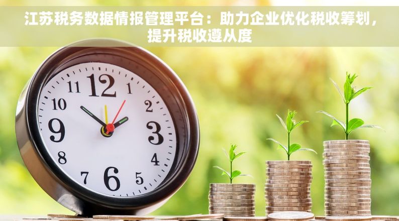江苏税务数据情报管理平台：助力企业优化税收筹划，提升税收遵从度