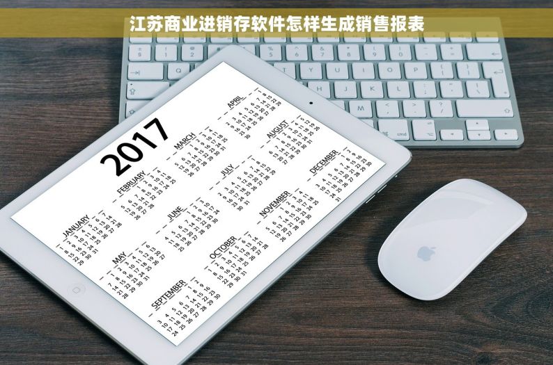 江苏商业进销存软件怎样生成销售报表