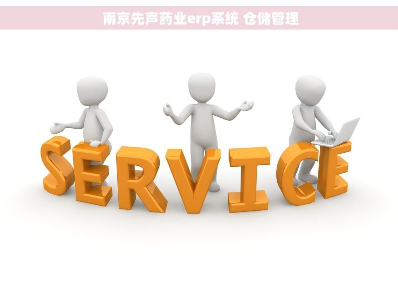  南京先声药业erp系统 仓储管理