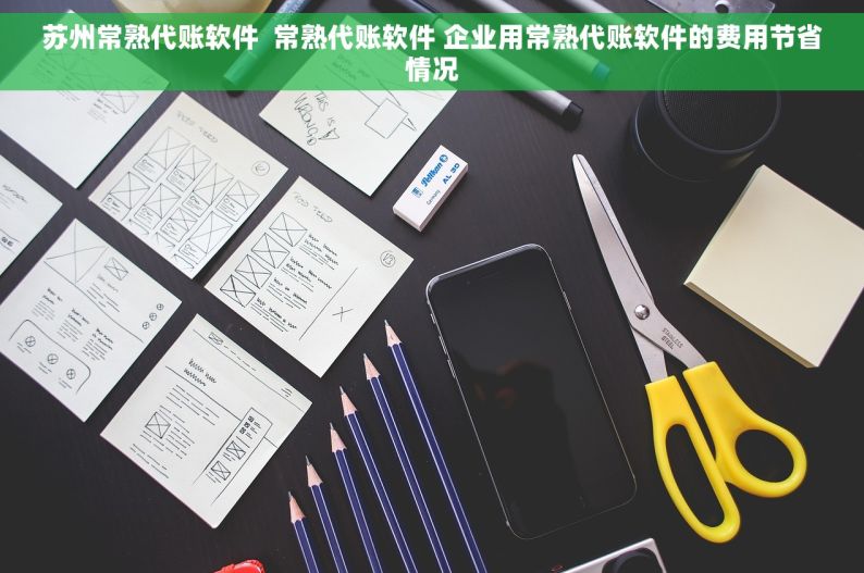 苏州常熟代账软件  常熟代账软件 企业用常熟代账软件的费用节省情况