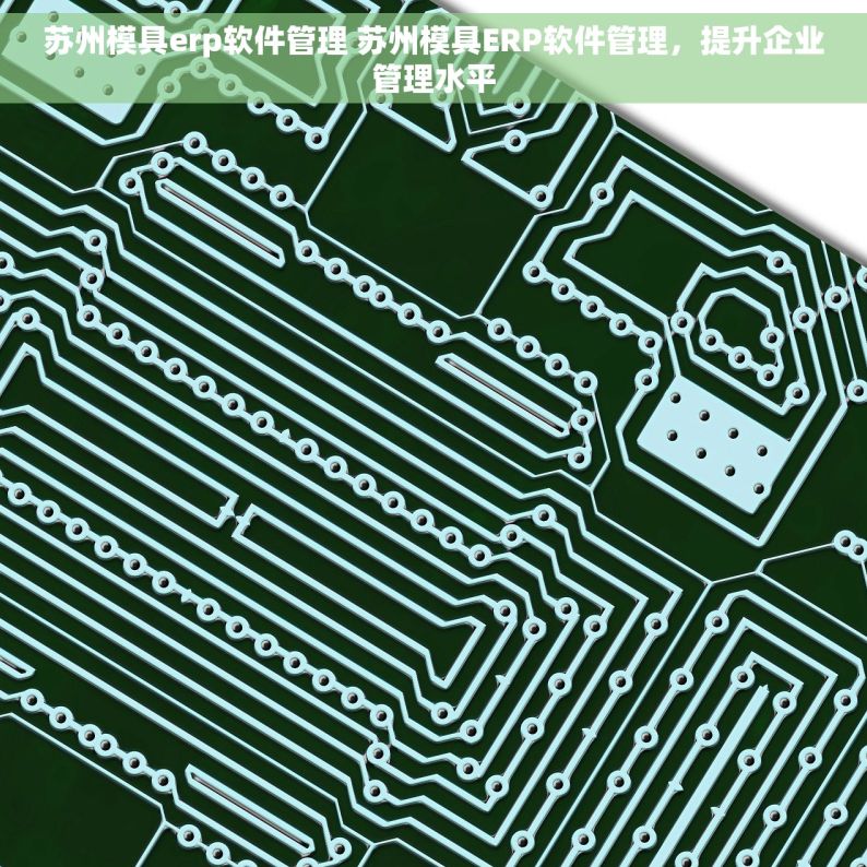 苏州模具erp软件管理 苏州模具ERP软件管理，提升企业管理水平