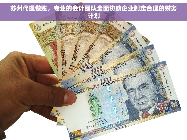苏州代理做账，专业的会计团队全面协助企业制定合理的财务计划