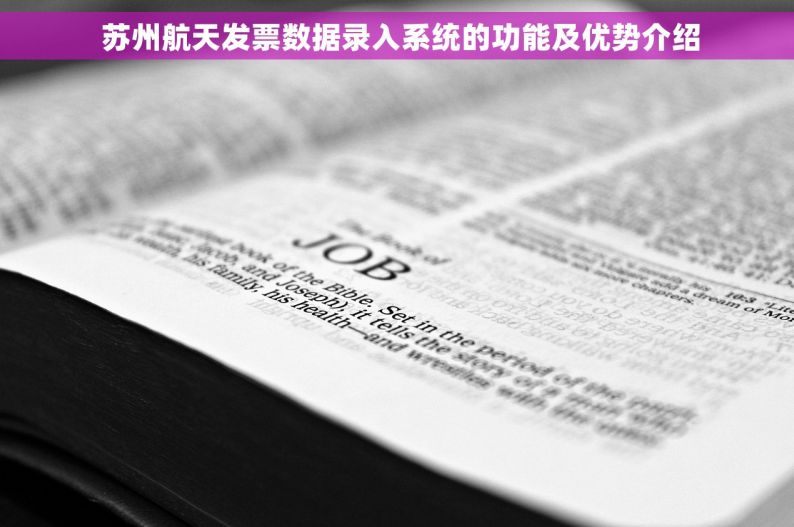  苏州航天发票数据录入系统的功能及优势介绍