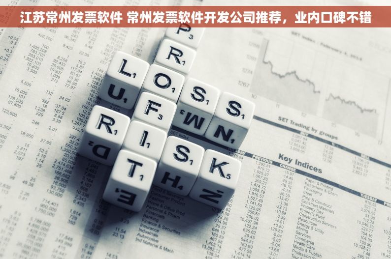 江苏常州发票软件 常州发票软件开发公司推荐，业内口碑不错
