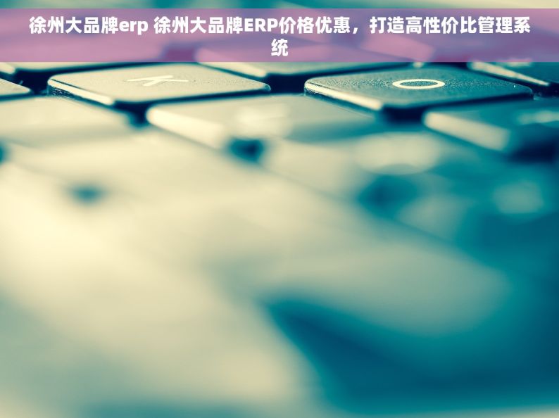 徐州大品牌erp 徐州大品牌ERP价格优惠，打造高性价比管理系统