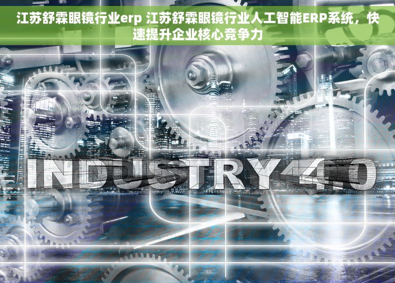江苏舒霖眼镜行业erp 江苏舒霖眼镜行业人工智能ERP系统，快速提升企业核心竞争力