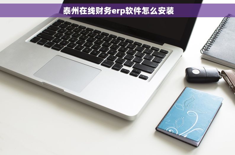  泰州在线财务erp软件怎么安装