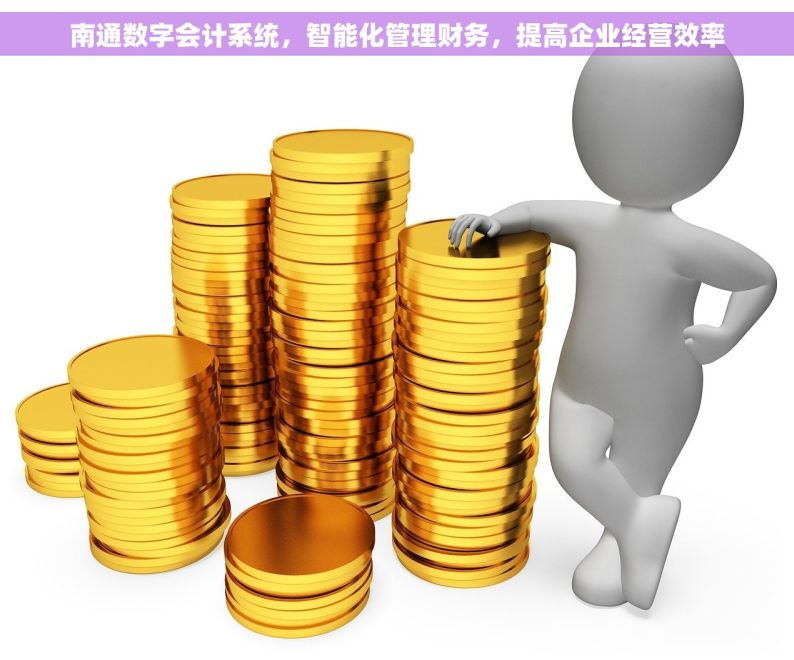 南通数字会计系统，智能化管理财务，提高企业经营效率