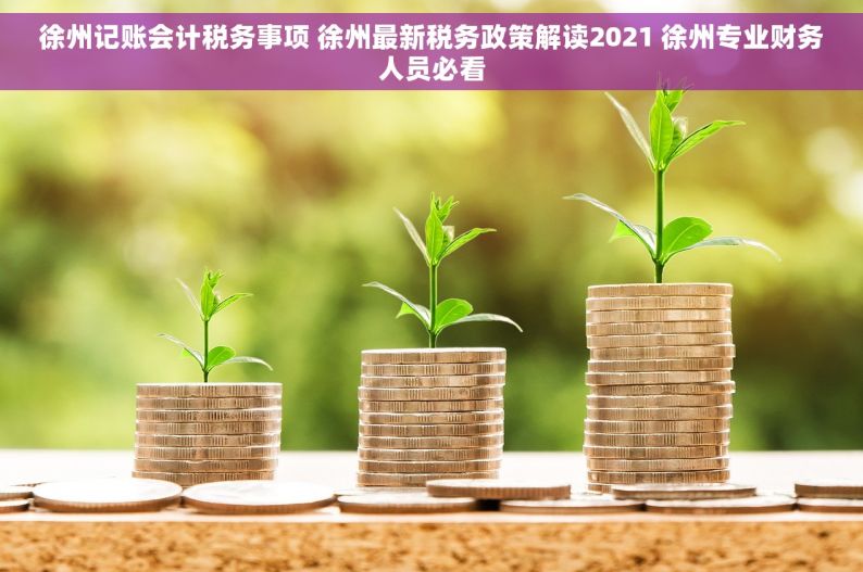 徐州记账会计税务事项 徐州最新税务政策解读2021 徐州专业财务人员必看