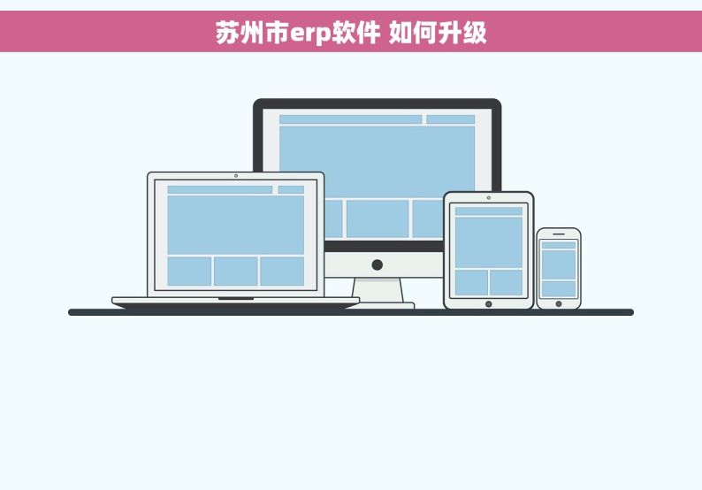 苏州市erp软件 如何升级