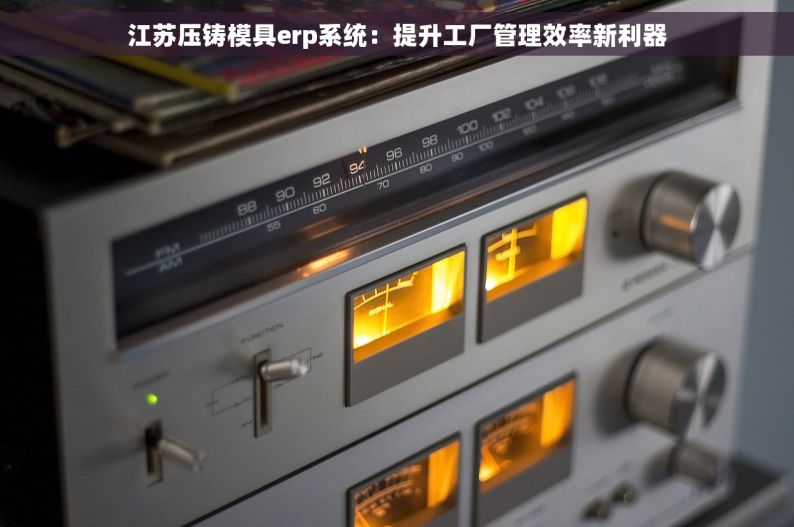 江苏压铸模具erp系统：提升工厂管理效率新利器