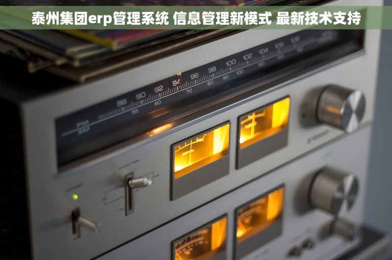 泰州集团erp管理系统 信息管理新模式 最新技术支持