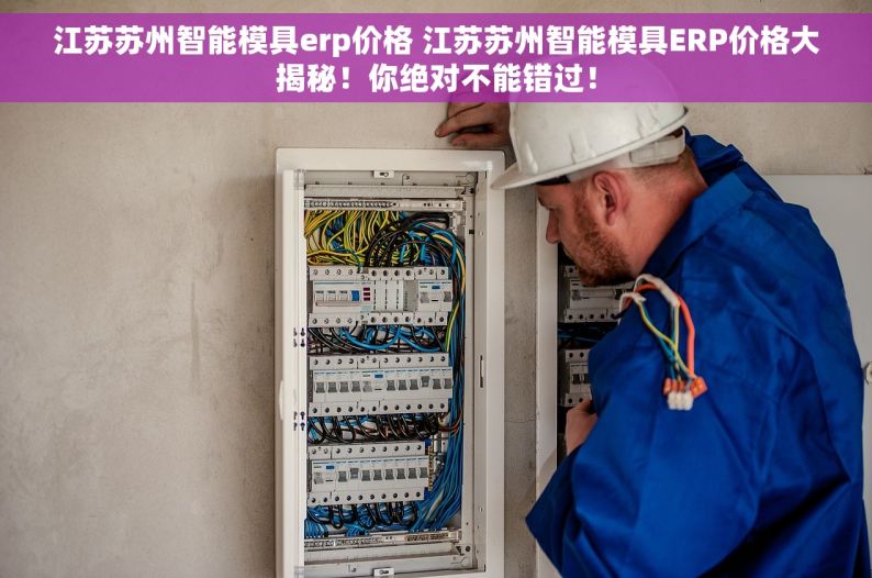 江苏苏州智能模具erp价格 江苏苏州智能模具ERP价格大揭秘！你绝对不能错过！