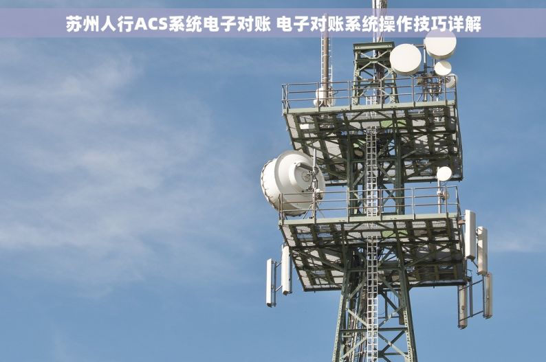 苏州人行ACS系统电子对账 电子对账系统操作技巧详解