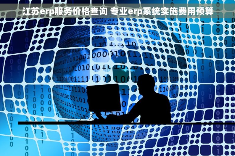 江苏erp服务价格查询 专业erp系统实施费用预算