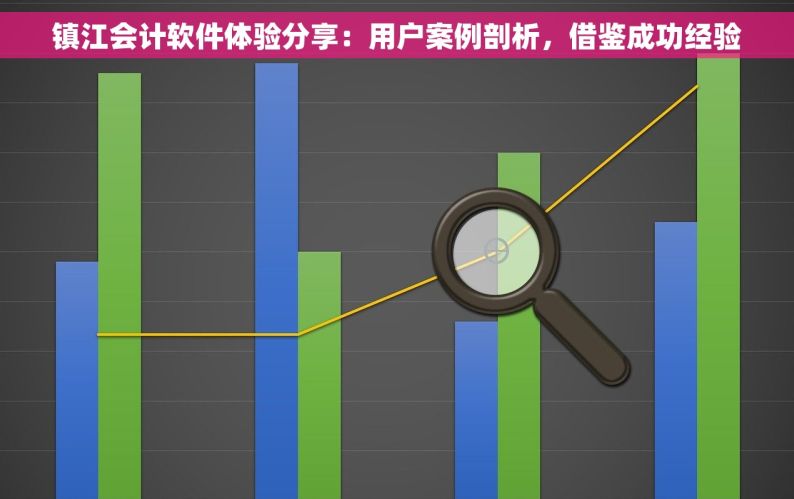 镇江会计软件体验分享：用户案例剖析，借鉴成功经验
