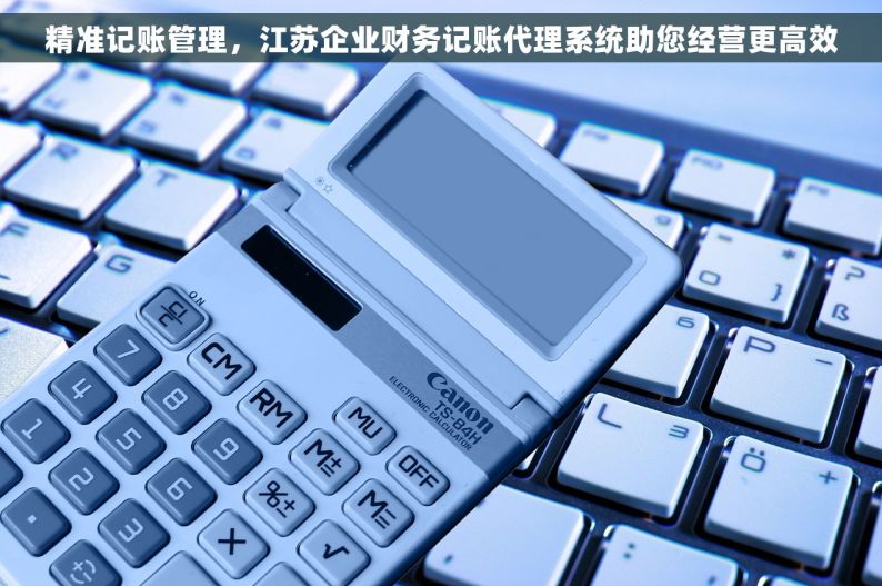 精准记账管理，江苏企业财务记账代理系统助您经营更高效