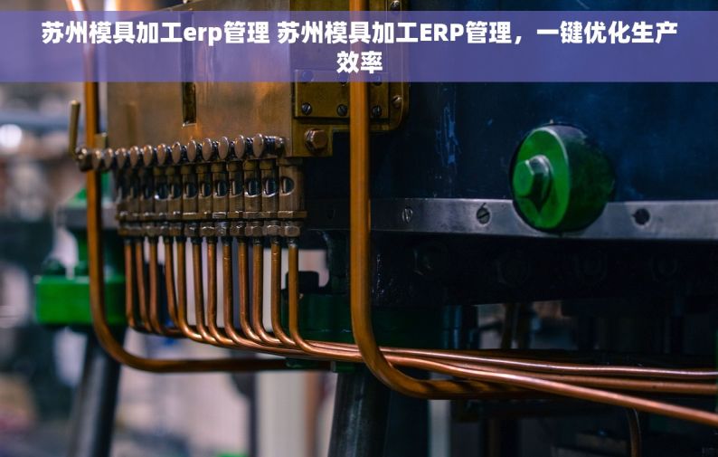 苏州模具加工erp管理 苏州模具加工ERP管理，一键优化生产效率