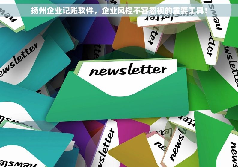 扬州企业记账软件，企业风控不容忽视的重要工具！
