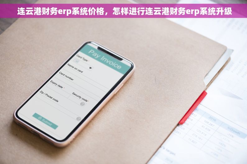  连云港财务erp系统价格，怎样进行连云港财务erp系统升级