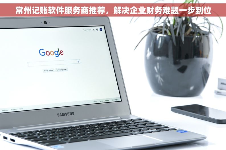 常州记账软件服务商推荐，解决企业财务难题一步到位