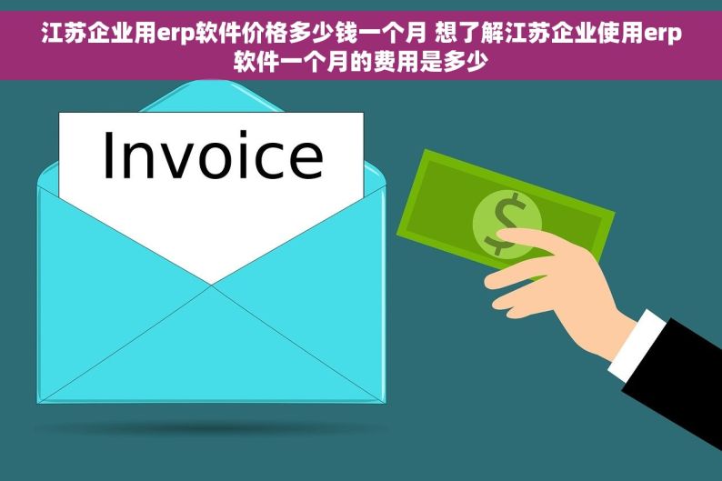 江苏企业用erp软件价格多少钱一个月 想了解江苏企业使用erp软件一个月的费用是多少