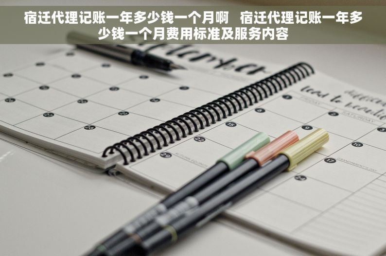 宿迁代理记账一年多少钱一个月啊   宿迁代理记账一年多少钱一个月费用标准及服务内容