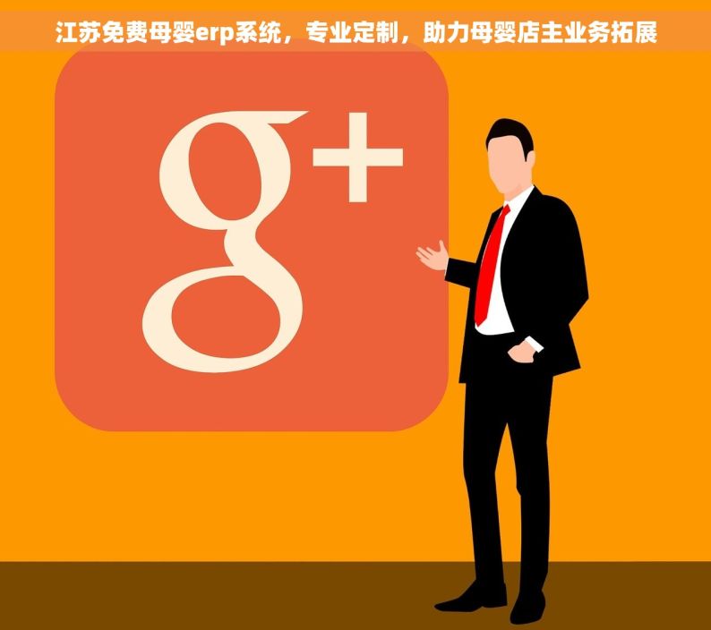 江苏免费母婴erp系统，专业定制，助力母婴店主业务拓展