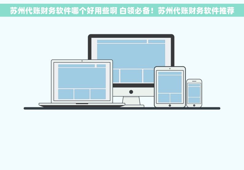 苏州代账财务软件哪个好用些啊 白领必备！苏州代账财务软件推荐