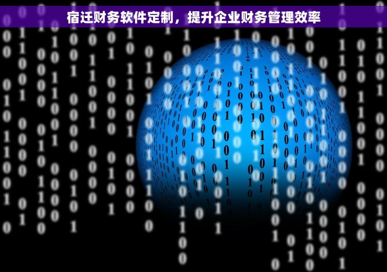 宿迁财务软件定制，提升企业财务管理效率