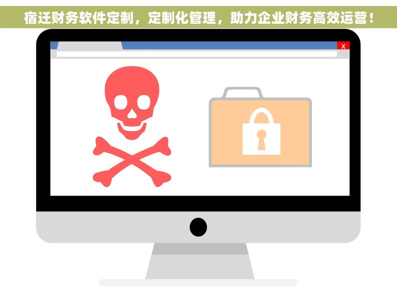 宿迁财务软件定制，定制化管理，助力企业财务高效运营！