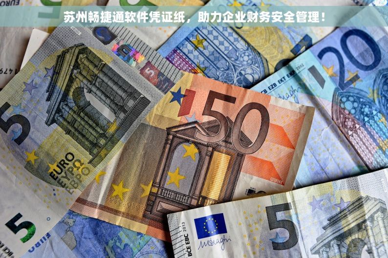 苏州畅捷通软件凭证纸，助力企业财务安全管理！