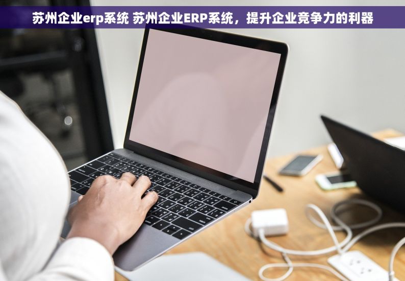 苏州企业erp系统 苏州企业ERP系统，提升企业竞争力的利器