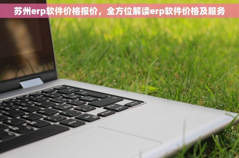 苏州erp软件价格报价，全方位解读erp软件价格及服务