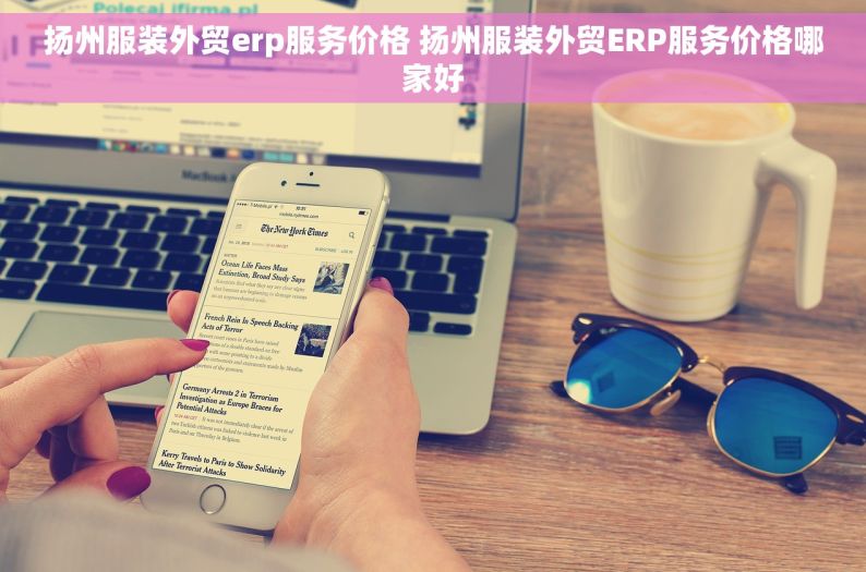 扬州服装外贸erp服务价格 扬州服装外贸ERP服务价格哪家好