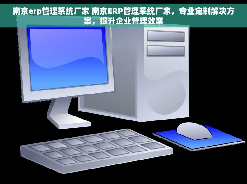 南京erp管理系统厂家 南京ERP管理系统厂家，专业定制解决方案，提升企业管理效率