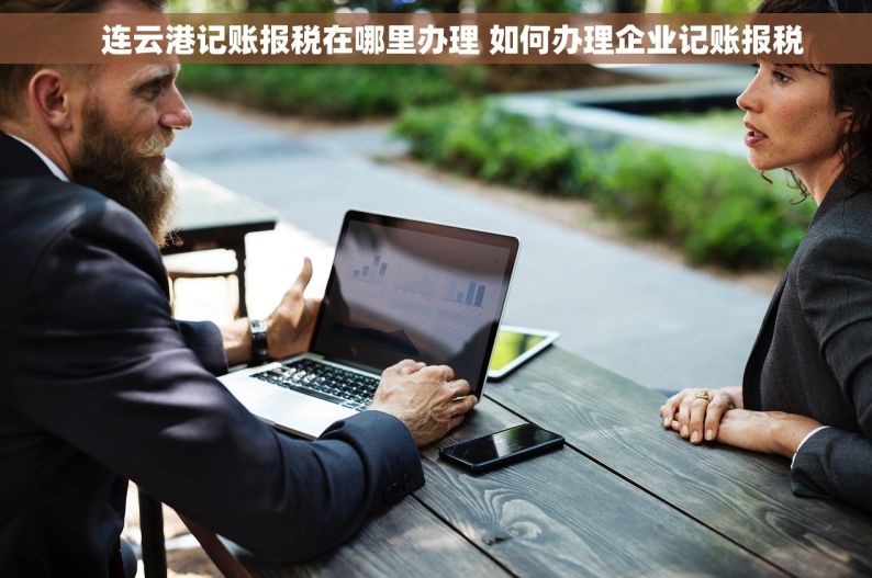     连云港记账报税在哪里办理 如何办理企业记账报税