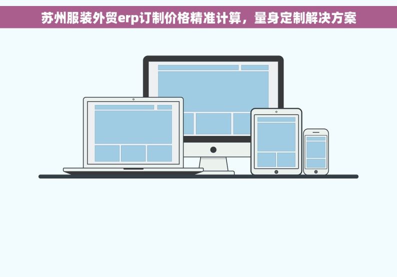 苏州服装外贸erp订制价格精准计算，量身定制解决方案